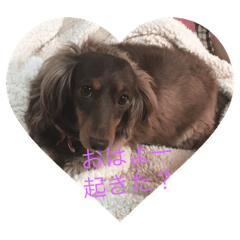 [LINEスタンプ] ウラちゃん♡