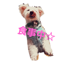 [LINEスタンプ] ちび助と仲間達2