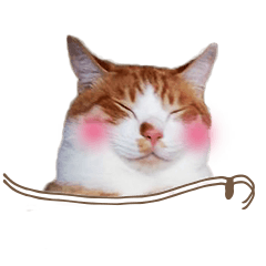 [LINEスタンプ] ナツとモチャの日常
