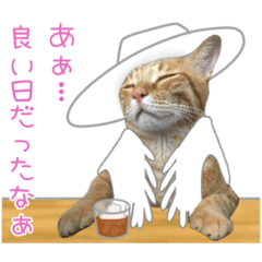 [LINEスタンプ] 茶トラ猫ガットくん 4