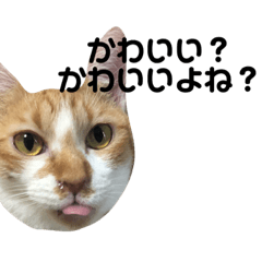 [LINEスタンプ] やきとりきょうだい