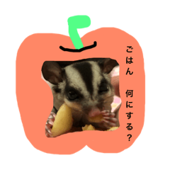 [LINEスタンプ] ふくろももんが びび