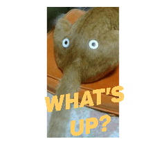 [LINEスタンプ] 猫が色々しゃべります7