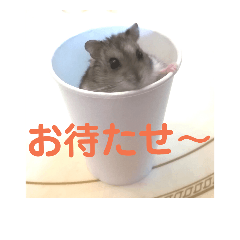 [LINEスタンプ] ハムスターかわいい