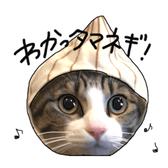 [LINEスタンプ] ししまるはん