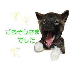 [LINEスタンプ] はなのスタンプ 2