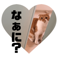 [LINEスタンプ] もっちースタンプ3だよ
