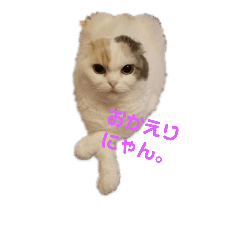 [LINEスタンプ] ネコのくるみるく