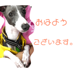 [LINEスタンプ] からのすけスタンプ1