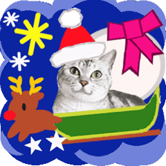 [LINEスタンプ] 動く！ニャンコたちのXmas＆新年ご挨拶