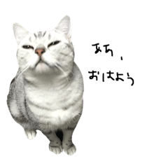 うにすたんぷぅ