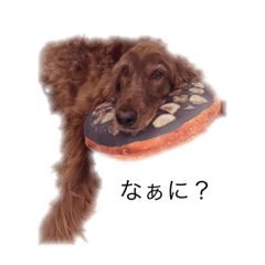[LINEスタンプ] 茶色いわんこ