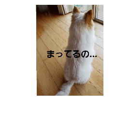 [LINEスタンプ] 犬らぶ