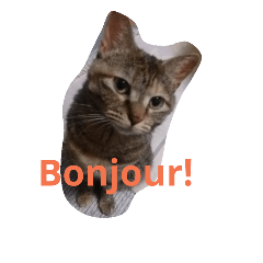 [LINEスタンプ] フランスねこ