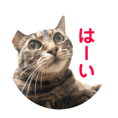 [LINEスタンプ] ルビーといっしよ