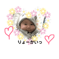 [LINEスタンプ] ここまるちゃんスタンプ