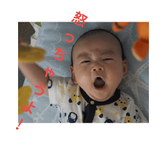 [LINEスタンプ] 赤ちゃん写真スタンプ