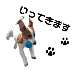 [LINEスタンプ] 愛犬ラッキーくんの気持ちスタンプその②