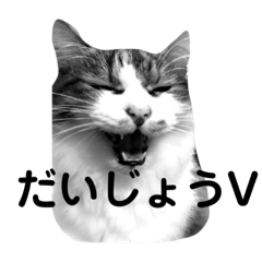 [LINEスタンプ] ネコ達が話す 懐かしい流行語＆死語の画像（メイン）