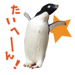 [LINEスタンプ] いやなペンギンと南極の仲間たちの画像（メイン）