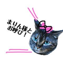 [LINEスタンプ] それいけまりんちゃん！2