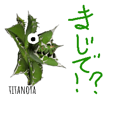 [LINEスタンプ] アガベ チタノタ agave titanota horridaの画像（メイン）