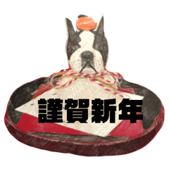 [LINEスタンプ] ヤンキーくんとミカンちゃんと仲間たち