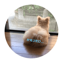 [LINEスタンプ] ベル2