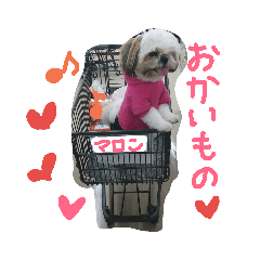 [LINEスタンプ] 我が家の可愛い日常2