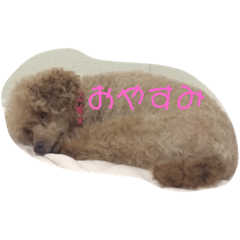 [LINEスタンプ] レディすたんぷ1