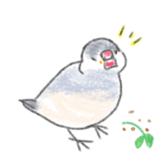 [LINEスタンプ] こしあんのスタンプ