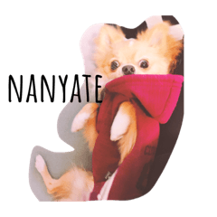 [LINEスタンプ] ポメチワleo2