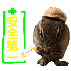 [LINEスタンプ] シマリス どんぐり3