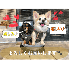 [LINEスタンプ] 娘達の気持ち①