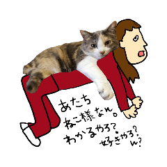 [LINEスタンプ] ゆるゆる猫、写真時々イラスト