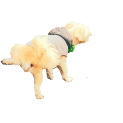 [LINEスタンプ] スパンクとポテト