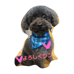[LINEスタンプ] モズクただいま参上！