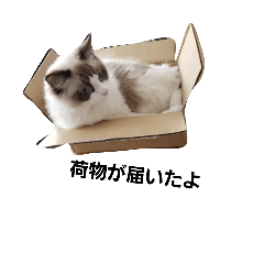 [LINEスタンプ] ペット 犬猫