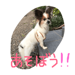 [LINEスタンプ] たむらきなこ fetchpriority=high