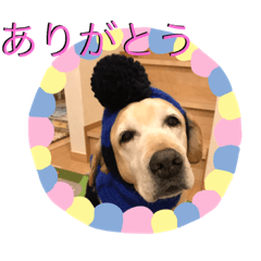 [LINEスタンプ] 愉快なみんなのスタンプ