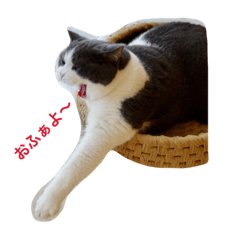 [LINEスタンプ] ぽんた日和