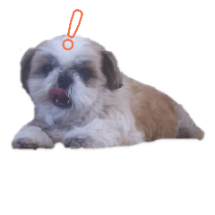 [LINEスタンプ] aikenmayu