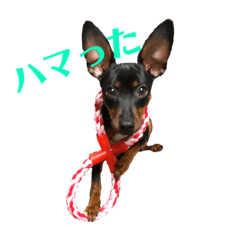 [LINEスタンプ] ガァクライヒ