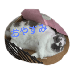 [LINEスタンプ] ふわわさんといよさん