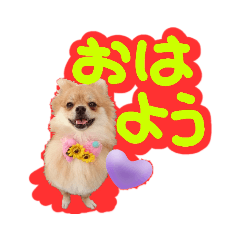 [LINEスタンプ] ポメラニアン♡こころ♡