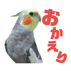 [LINEスタンプ] オカメリアル