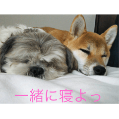 [LINEスタンプ] みーんな仲良し