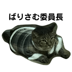 [LINEスタンプ] ひよしのどうぶつ
