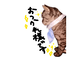 [LINEスタンプ] ぅちの子達とシャネル1