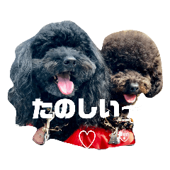 [LINEスタンプ] ☆R＆TOY  一言スタンプ☆